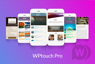 wptouch pro手机端网站创建插件